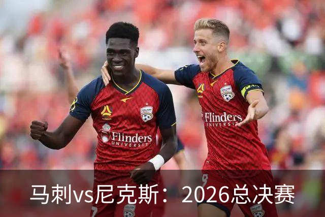 马刺vs尼克斯：2026总决赛